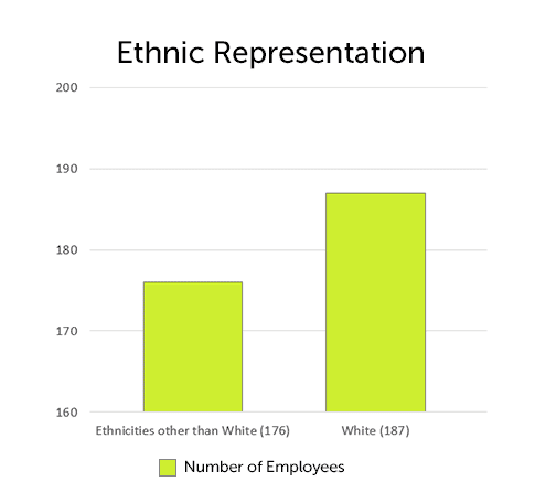 ethnic-rep-employees